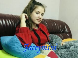 Jaceymini