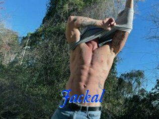 Jackal