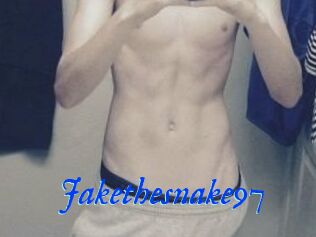 Jakethesnake97