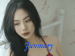 Junmary