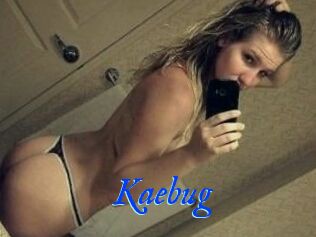 Kaebug