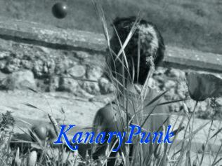 KanaryPunk