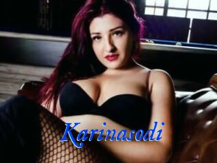 Karinasodi