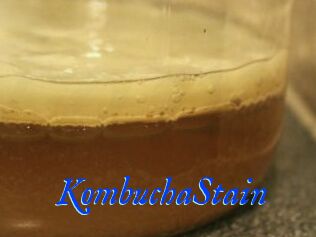 KombuchaStain