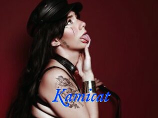 Kamicat