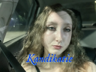 Kandikatie