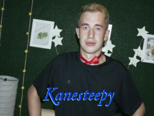 Kanesteepy
