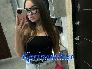 Karinamikus