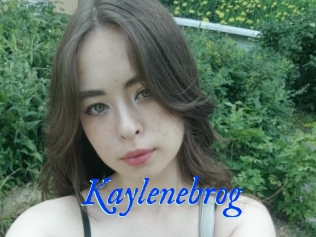 Kaylenebrog