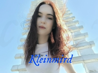 Kleinmird