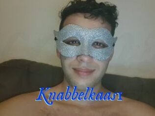 Knabbelkaas1