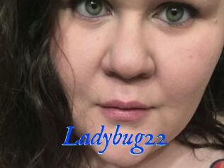 Ladybug22