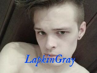 LapkinGray