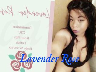 Lavender_Rose