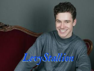 LevyStallion