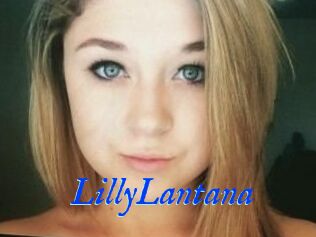 LillyLantana