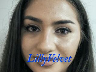 LillyVelvet