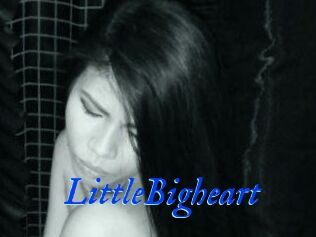 LittleBigheart