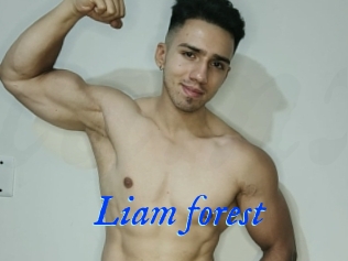 Liam_forest