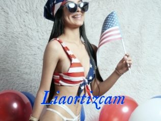 Liaortizcam