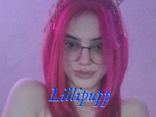 Lillipupp