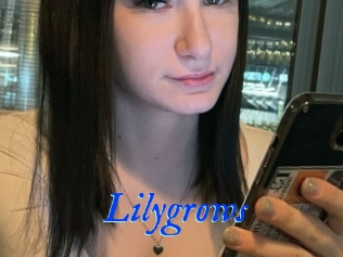 Lilygrows