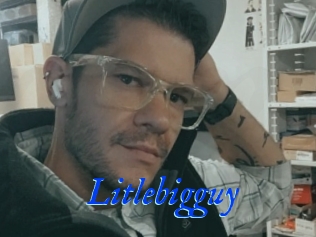 Litlebigguy