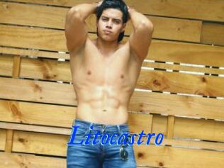 Litocastro