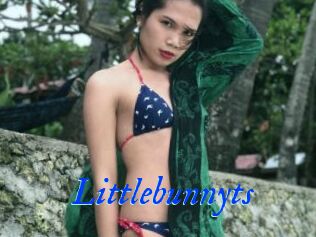Littlebunnyts