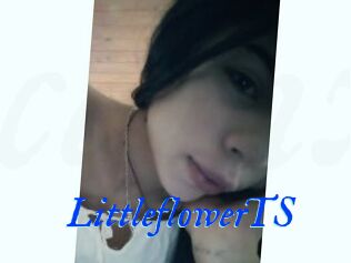 LittleflowerTS