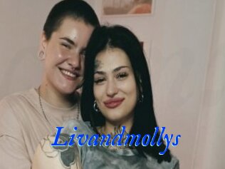 Livandmollys