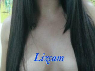 Lizcam