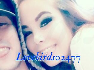 Lovebirds02477