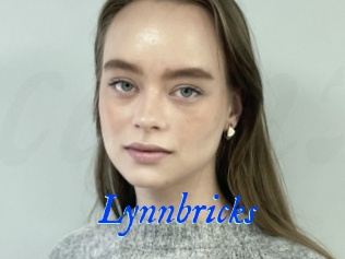 Lynnbricks