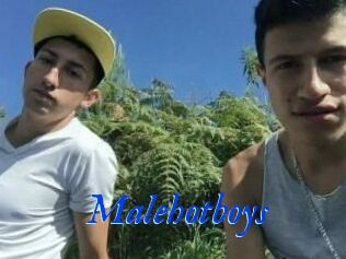 Malehotboys