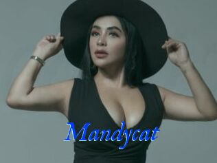 Mandycat