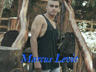 Marcus_Levit