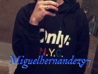 Miguel_hernandez97