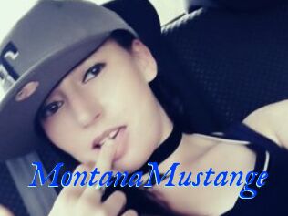 MontanaMustange