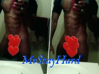 MrStayHard