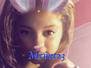 Mswet23