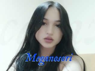 Meganosori