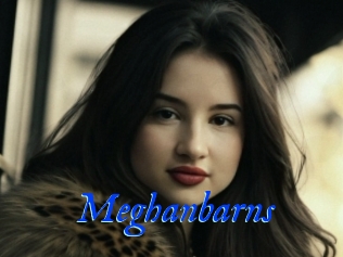 Meghanbarns