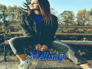 Mellisajo