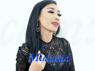 Mialupad
