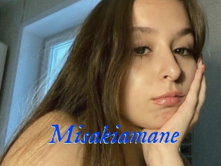 Misakiamane