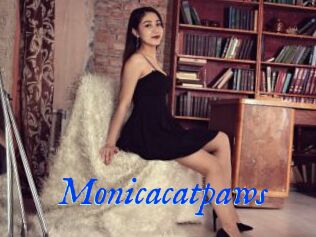 Monicacatpaws