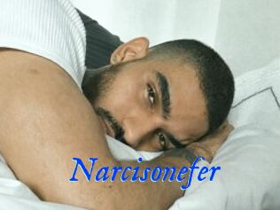 Narcisonefer
