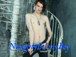 NaughtyBunnyBoy
