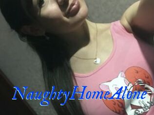 NaughtyHomeAlone